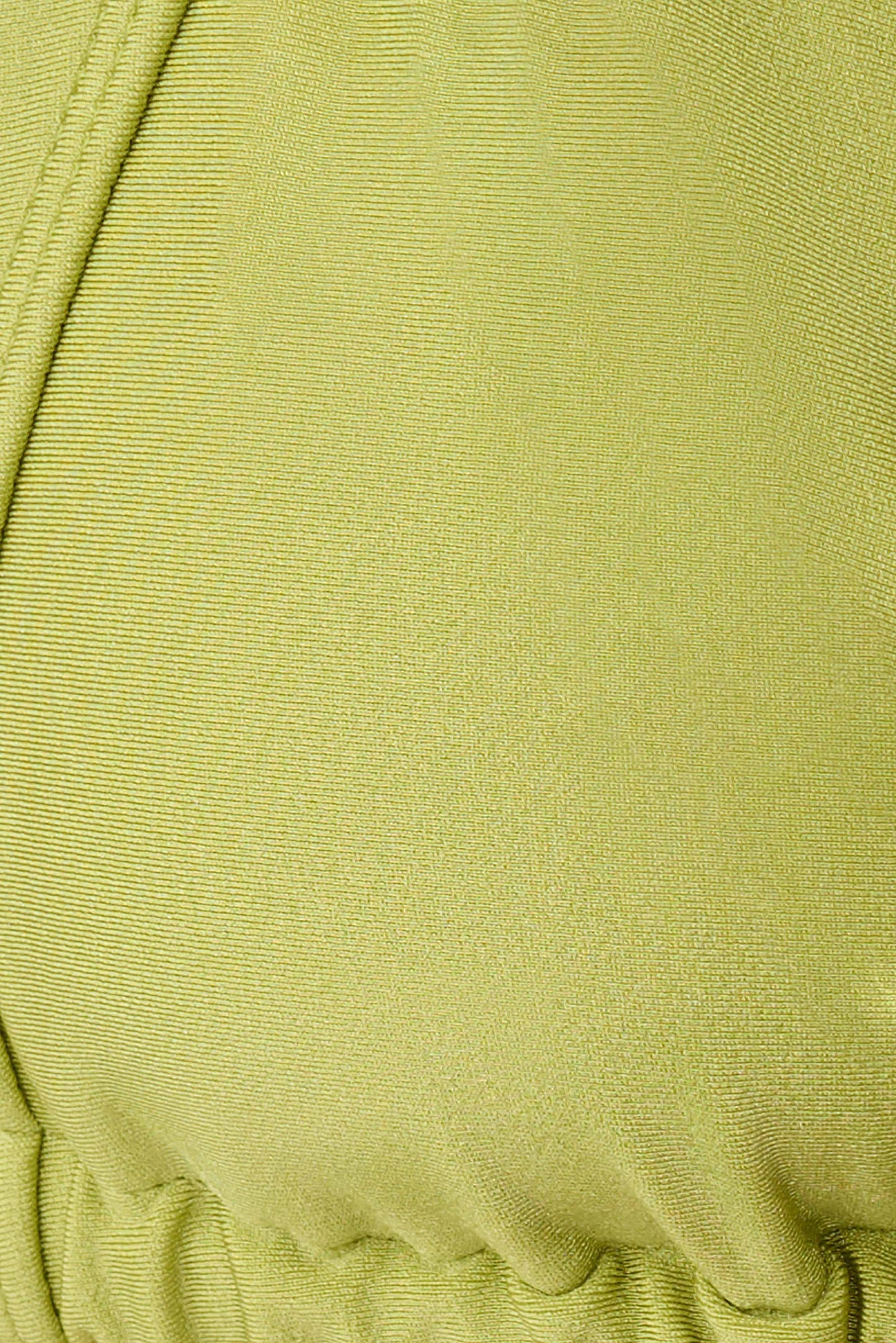 Fern Triangle Bikini Top - Green vista 9